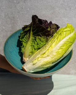 Areia Servierschale Klein Flach Mint