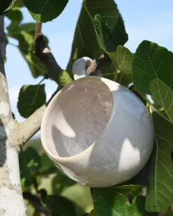 Areia Tasse Klein Sand